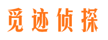 钦南调查公司